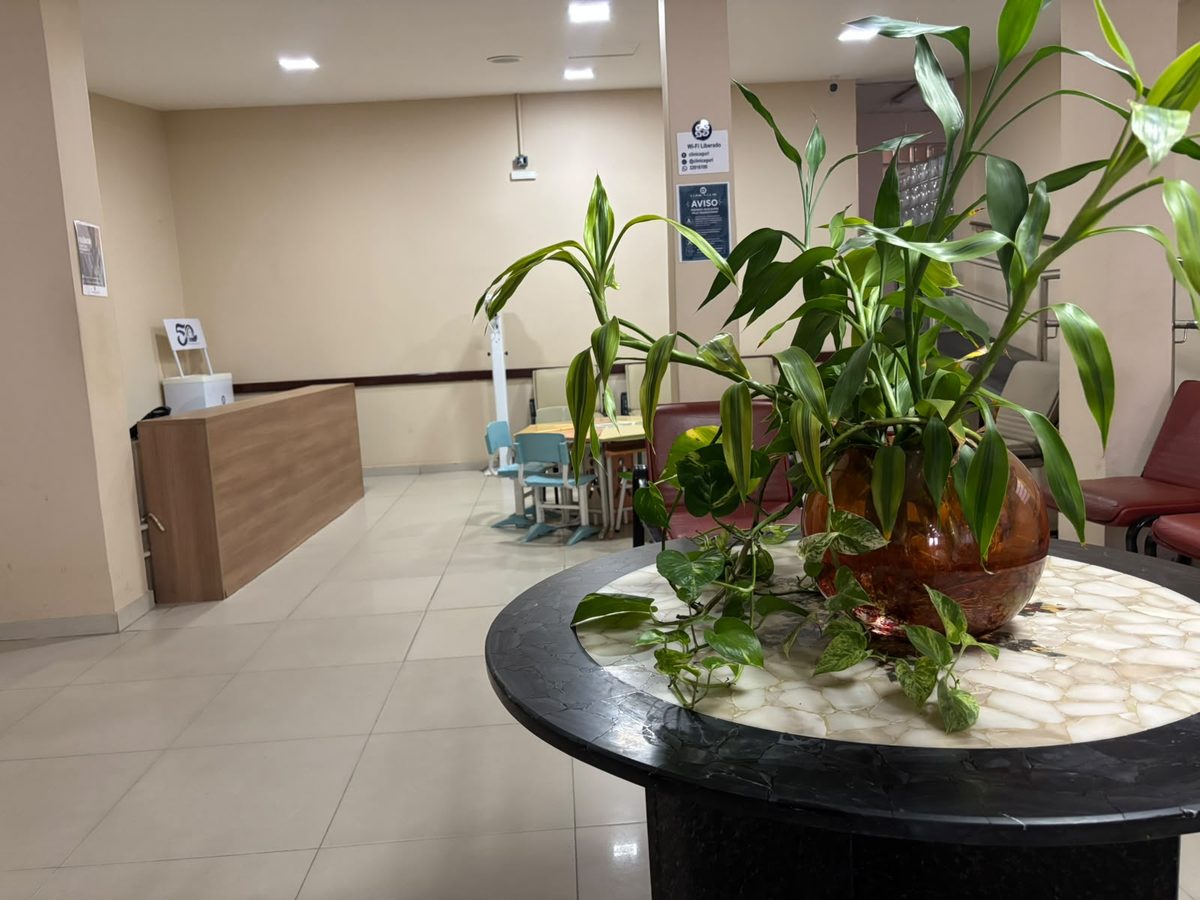 Salão de espera da Clínica Guri, com a jardineira central e a recepção ao fundo